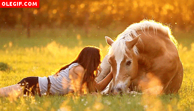 GIF: Mujer acariciando a un caballo