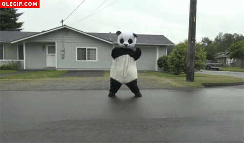 GIF: Oso panda bailando