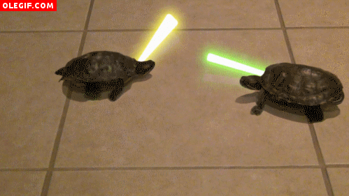 GIF: Tortugas con espadas láser