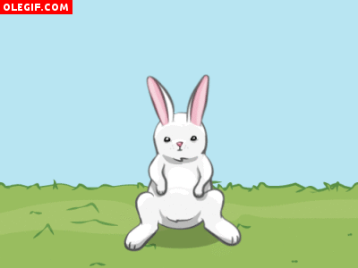 GIF: Conejo saltarín