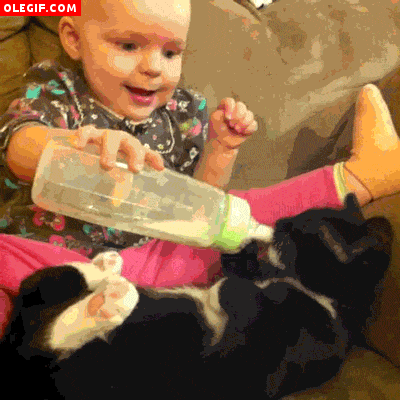 GIF: Bebé alimentando a su gato