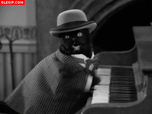 GIF: Gato pianista