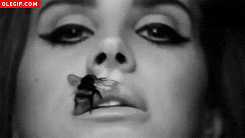 GIF: Lana Del Rey prefiere aumentar sus labios con una picadura de abeja, que inyectarse silicona