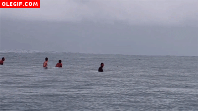GIF: Estás dándote un baño en la playa y de repente... ¡aparece una ballena!