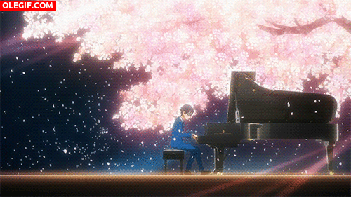 GIF: Kousei Arima tocando el piano bajo un cerezo en flor (Shigatsu wa Kimi no Uso)