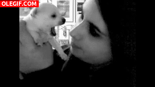 GIF: Mira a este cachorro cómo muerde la nariz de la chica