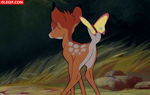 GIF: La mariposa se ha posado en la cola de Bambi