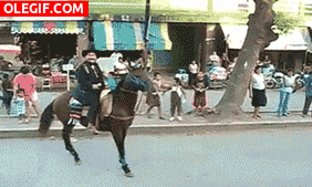 GIF: Menudo culetazo se dan el hombre y el caballo
