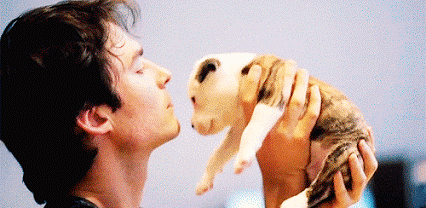 GIF: Qué mono está Ian Somerhalder besando al cachorro