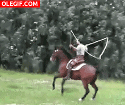 GIF: ¿Un caballo saltando a la comba?