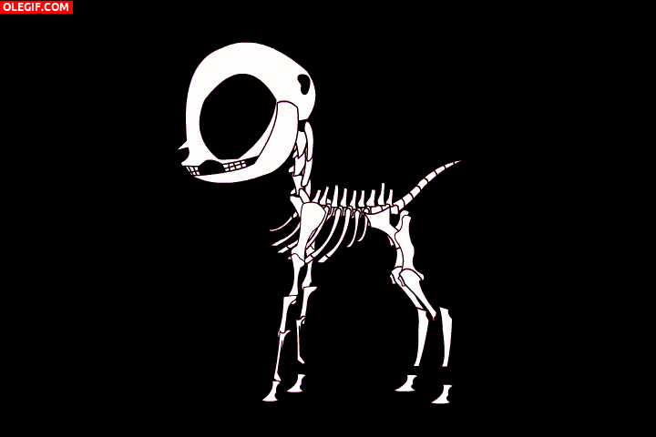 GIF: Un poni moviendo el esqueleto