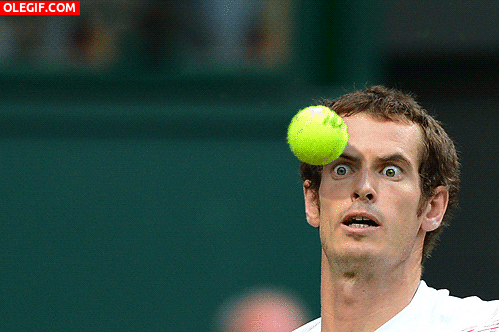 GIF: La cara de Andy Murray antes del pelotazo