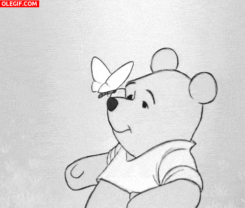 GIF: Winnie The Pooh distraído con una mariposa