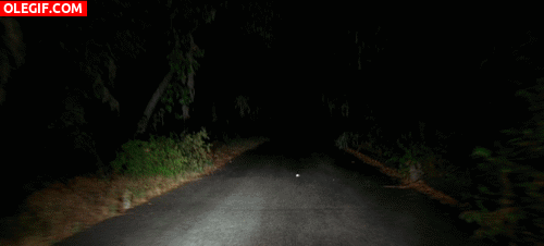 GIF: Circulando por una carretera oscura