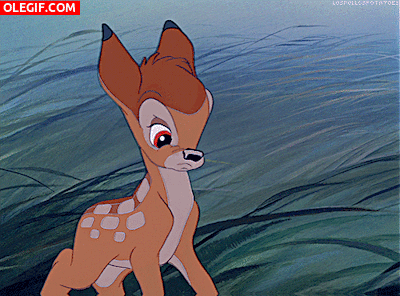 GIF: El adorable Bambi masticando hierba