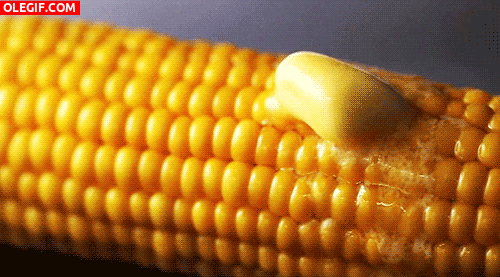 GIF: Mantequilla fundiéndose sobre la mazorca de maíz