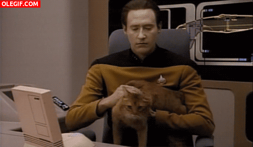 GIF: Parece que a este gato no le gusta ser acariciado por el comandante Data