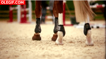 GIF: Las patas de un caballo