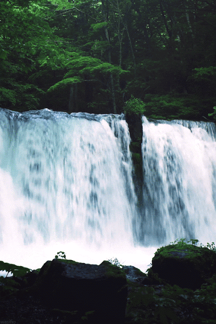 GIF: Hermosa cascada fluyendo en plena naturaleza