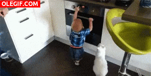 GIF: Este gato enseña al bebé que el horno no se toca