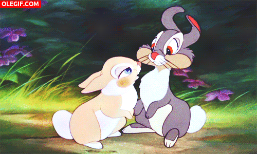 GIF: Conejos enamorados