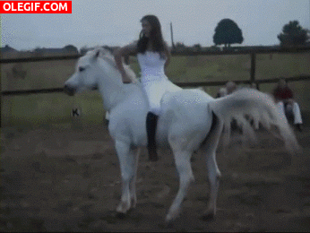 GIF: Acrobacias sobre un caballo blanco