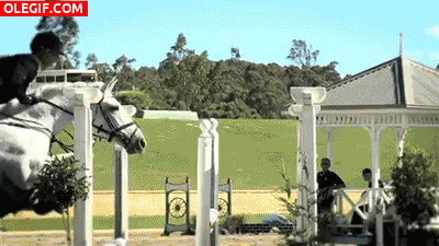 GIF: Saltando con un caballo blanco