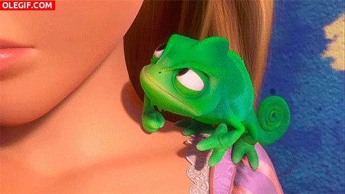 GIF: El camaleón Pascal está cabreado