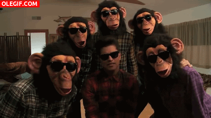 GIF: Cantando con unos chimpancés