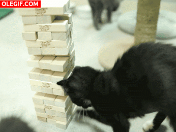 GIF: Mira a este gato jugando al jenga