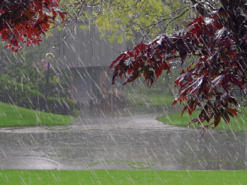 GIF: Llueve en el parque