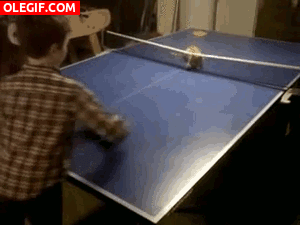 GIF: Este gato es un buen jugador de ping pong