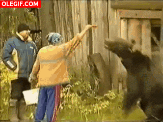 GIF: Este oso ha sacado su instinto