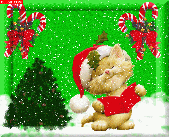 GIF: Gato cantando un villancico por Navidad (Gif #2243)