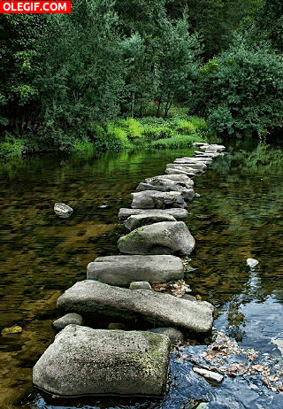 GIF: Camino de piedras sobre un río