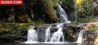 GIF: Varias cascadas en un jardín