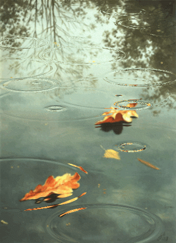 GIF: Lluvia en otoño