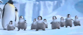 GIF: El baile de los pequeños pingüinos