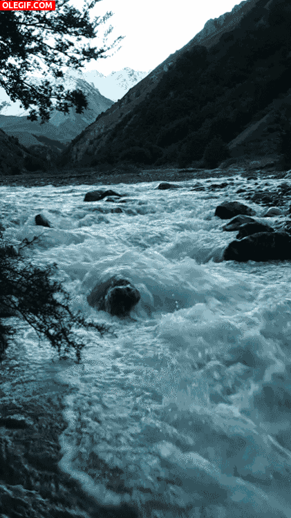 GIF: Corriente de agua entre las rocas
