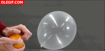GIF: Cómo explotar un globo con la piel de la naranja