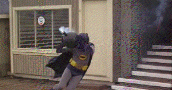 GIF: Este Batman está poco espabilado
