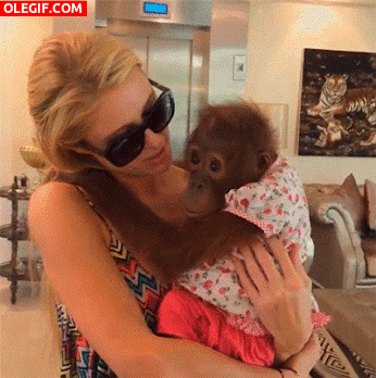 GIF: Paris Hilton besando a la pequeña orangután