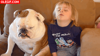 GIF: Mira al perro y al niño dormidos
