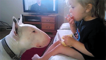 GIF: Mira a esta niña dando de comer al perro