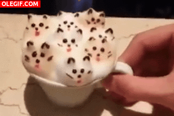 GIF: Gatitos en una taza de café
