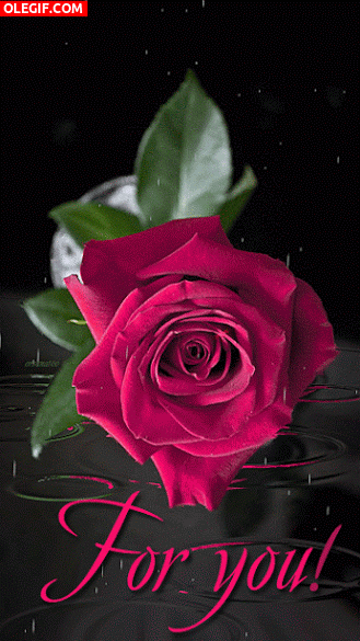 GIF: ¡Esta rosa es para ti!