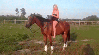 GIF: Esto es lo que pasa cuando haces el "reto del agua fría" sobre un caballo