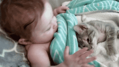 GIF: Mira a este gato tumbado junto al bebé