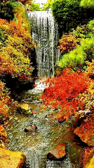 GIF: Una cascada fluyendo en otoño