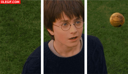 GIF: Harry Potter flipando con el quaffle